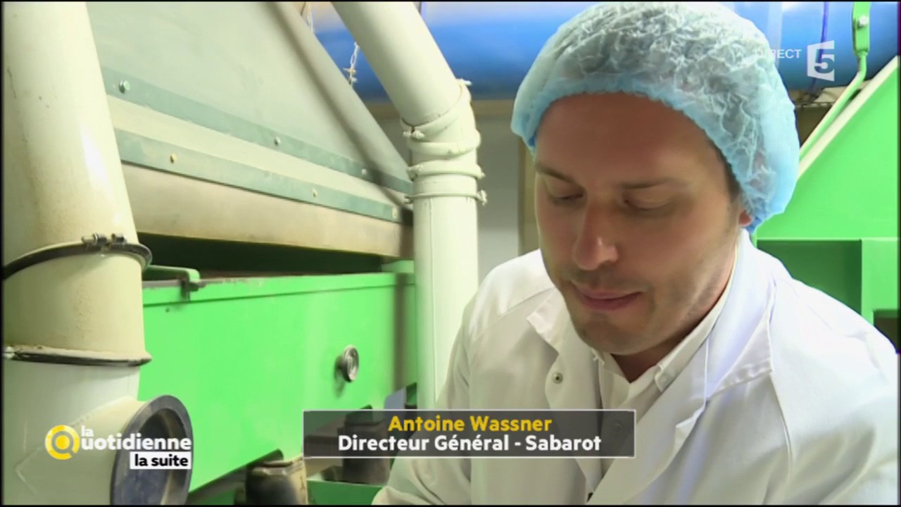 La lentille du Puy, l'or vert des légumineuses ! (VOST) - La Quotidienne la suite