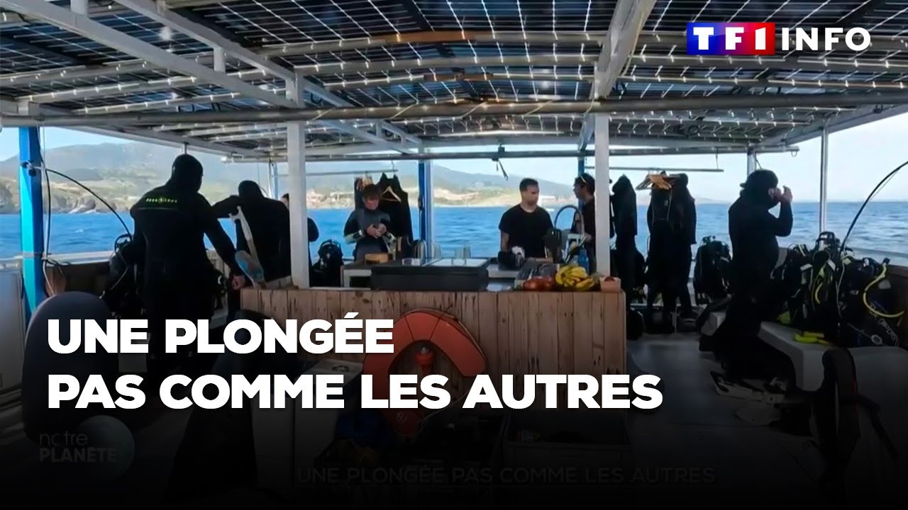 Une plongée pas comme les autres et plus respectueuse de l'environnement