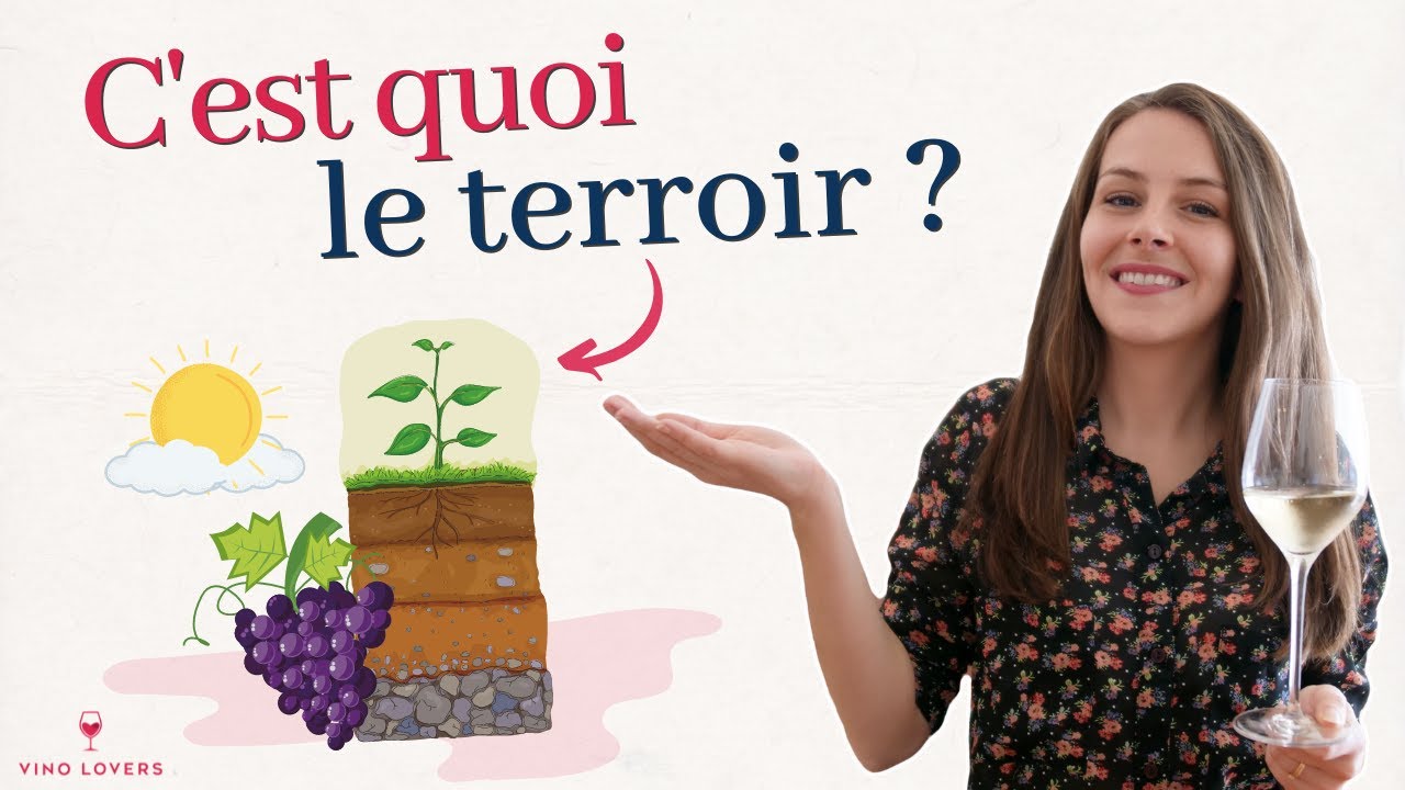 Vin : c’est quoi le terroir ?