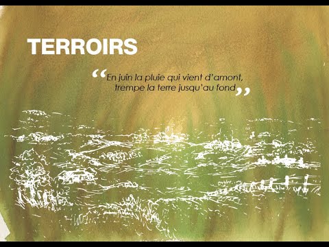 Qu'est-ce que le terroir ?