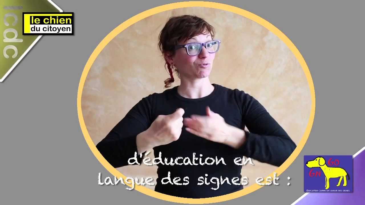 les ateliers d'éducation canine en langue des signes "au doigt et à l'oeil"