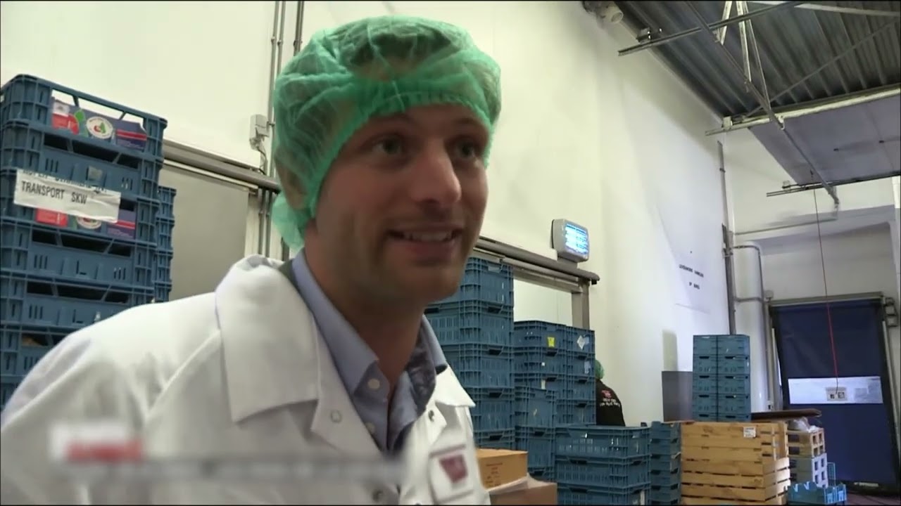 La salade industrielle, de l'autre côté du rideau