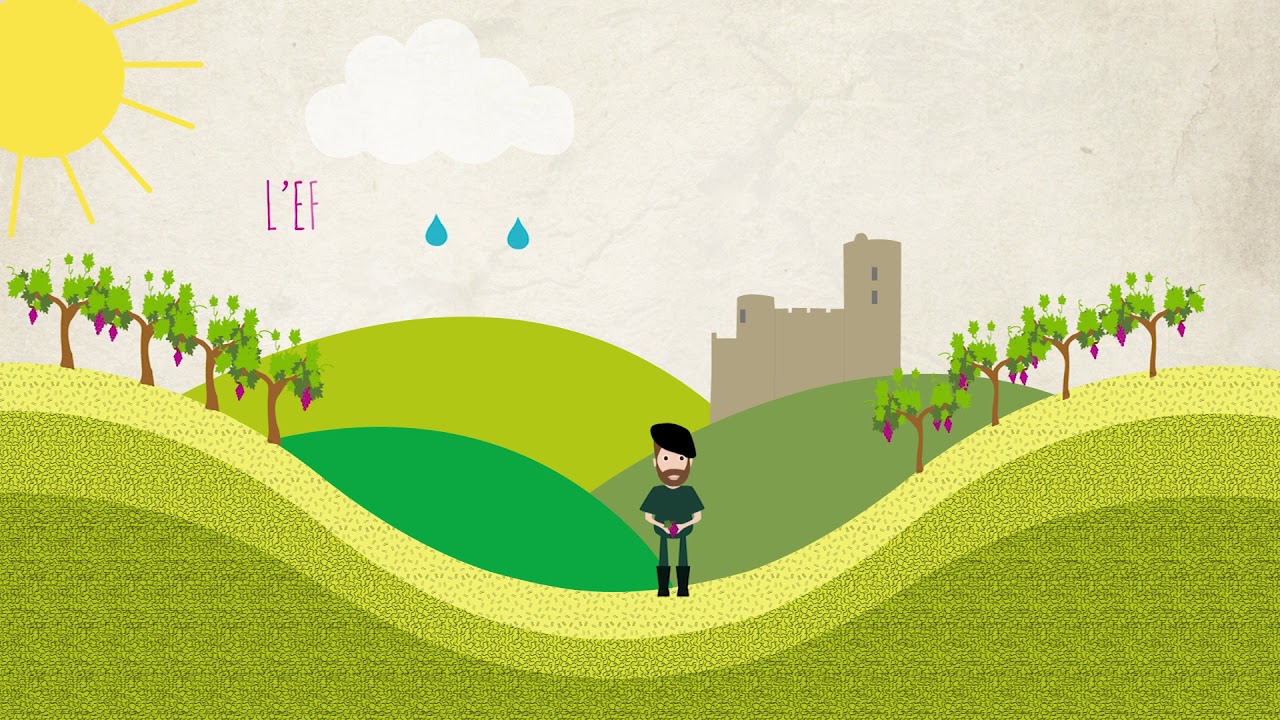 Le terroir c'est quoi ?