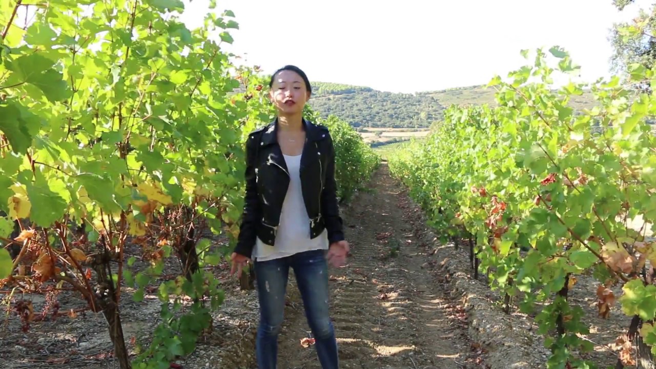 Qu'est ce que le terroir