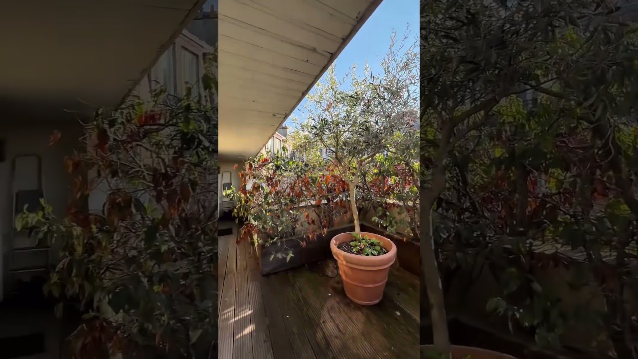 Paris XVI – Dernier étage duplex avec terrasses ✨ #paris #immobilier #realestate #visitemaison