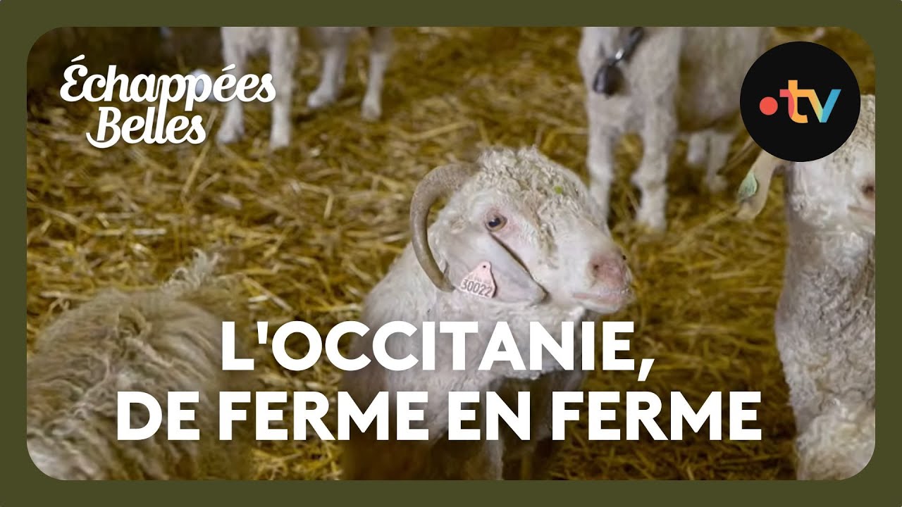 L'Occitanie, de ferme en ferme - Échappées belles
