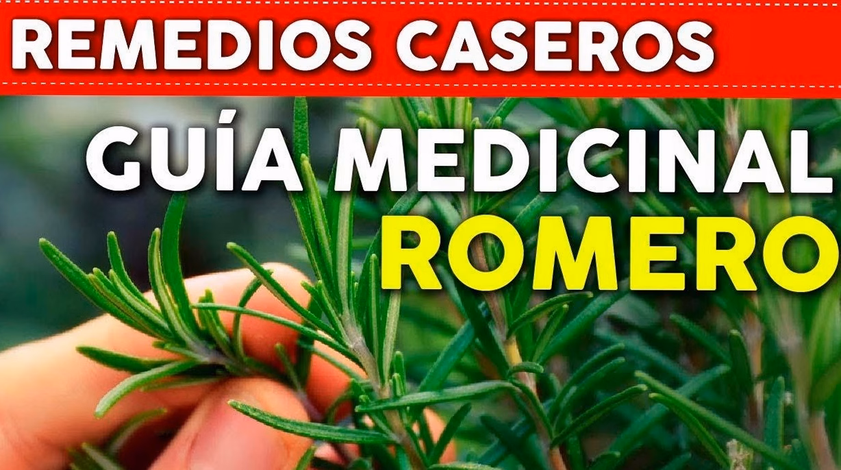 Gaspacho melon et tomates : la fraîcheur des jours de canicule